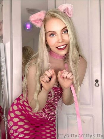 ittybittyprettykitty