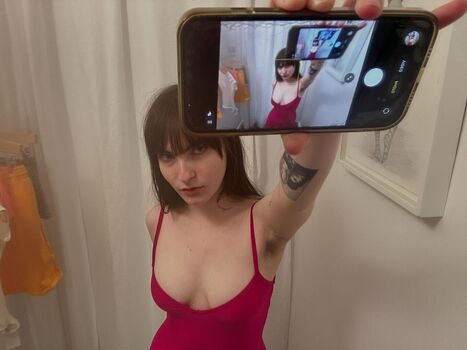 Ivy wolk image