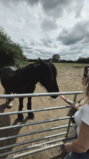 Janet devlin image