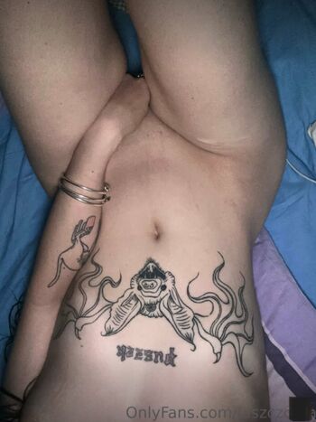 Jaszczorka 1 image