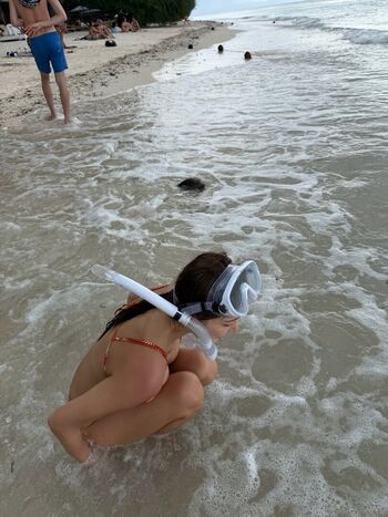 Jisamss 1 page 6 image