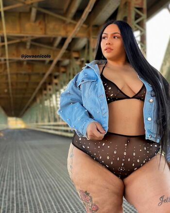 Jovaenicole image