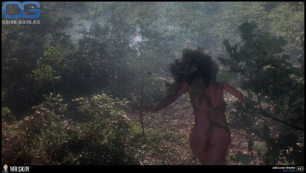 Julia dreyfus image