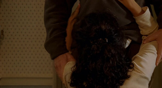 Julia dreyfus image