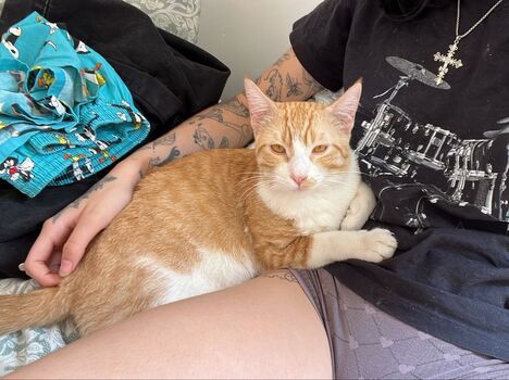 Julia Magnollia Juliamagnollia