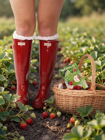 Julia willecke image