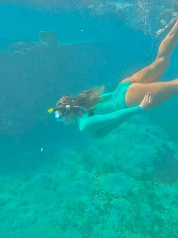 Justinaccessible image