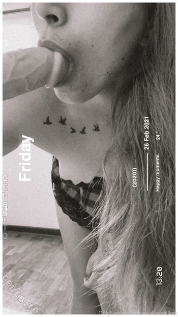 K llmewillow page 3 image