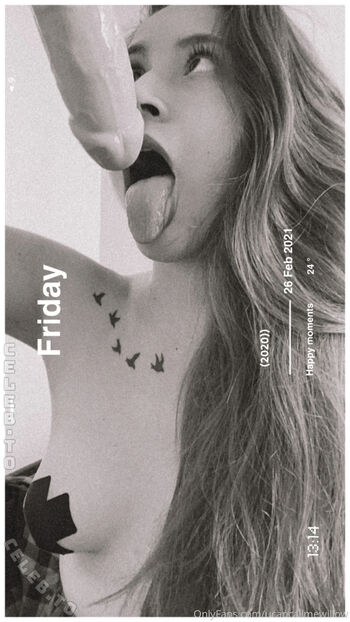 K llmewillow page 3 image