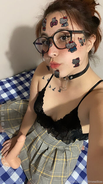 K llmewillow page 3 image