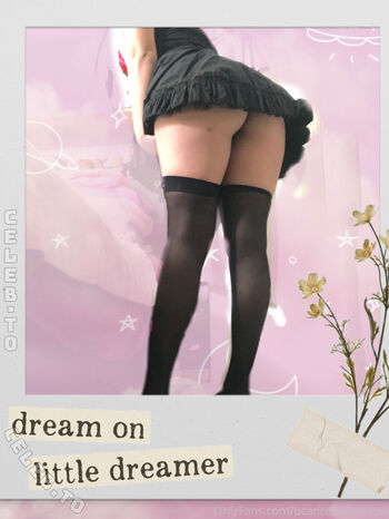 K llmewillow page 3 image