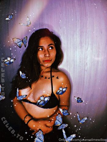 K llmewillow page 3 image