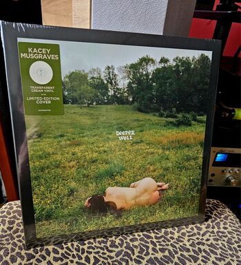 Kaceymusgraves image