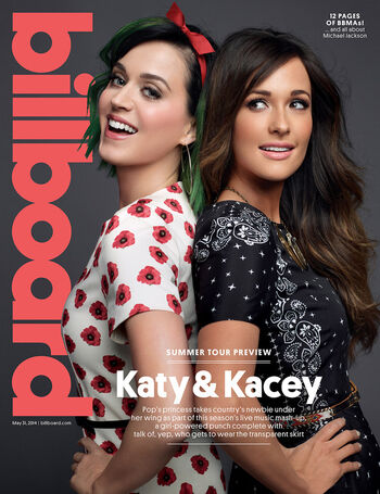Kaceymusgraves image