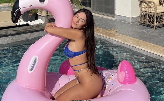 Kardeniz kilic image