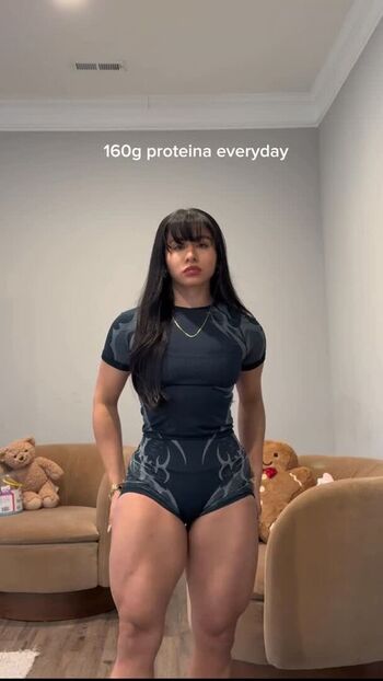 Karinal delfin image