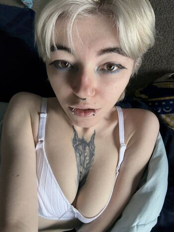 Kate lavender image