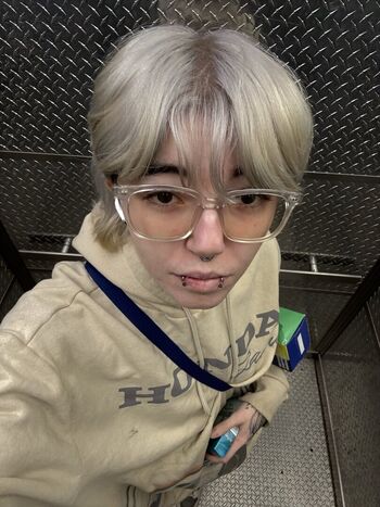 Kate lavender image