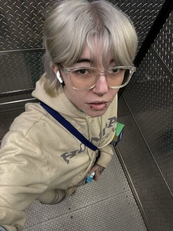 Kate lavender image