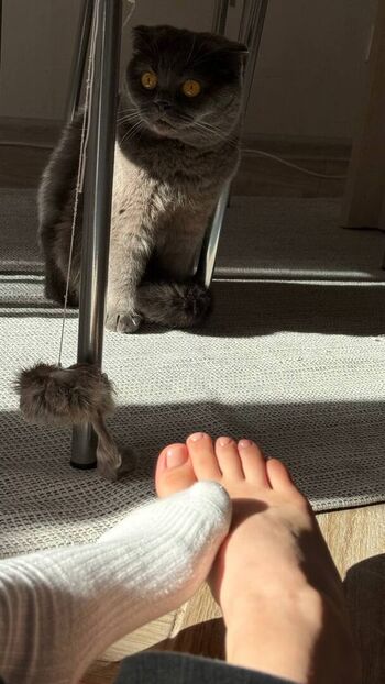 Katya chapaeva image