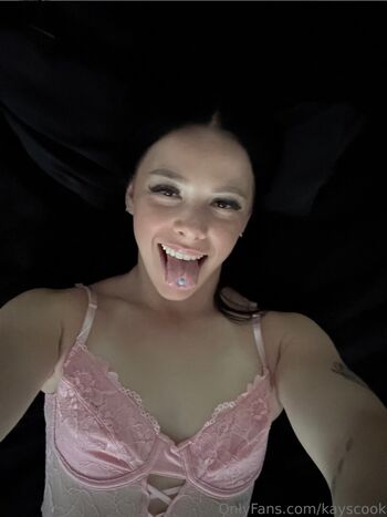 Kayscook page 2 image