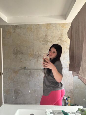 Kayscook page 2 image