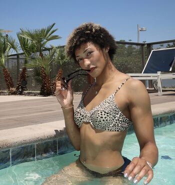 Kennedy blades image