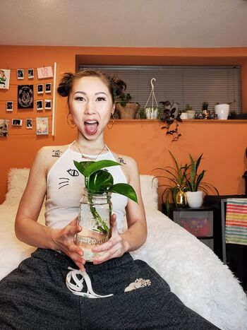 Kimora koi image