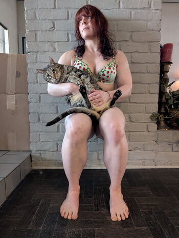 Kitty bit games image