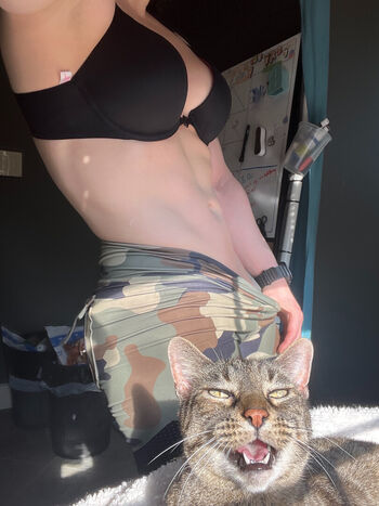 Kitty bit games image