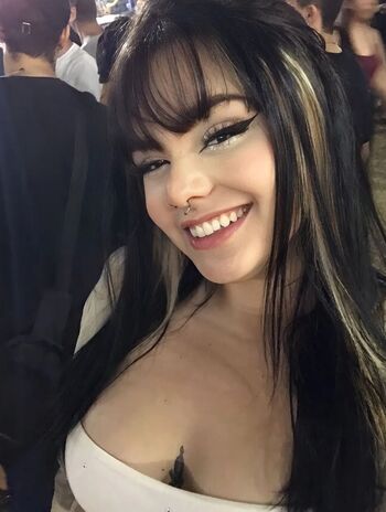 Kitty cat image