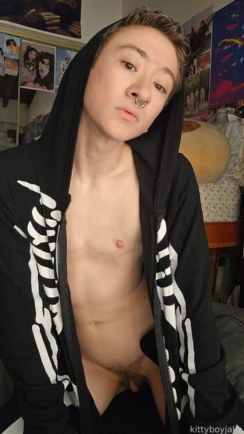 Kittyboyjake image