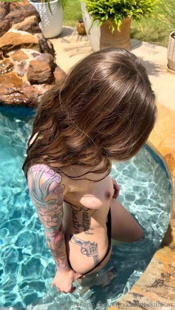 Kittykatkittykatpurr image