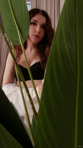 Kittyklaw image