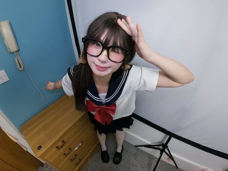 Kiwibear image