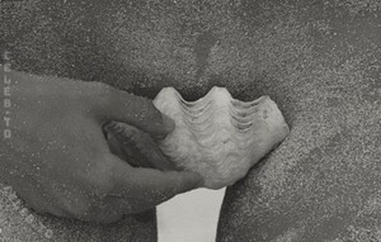 Kristen kiehnle image