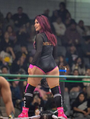 La catalina page 2 image