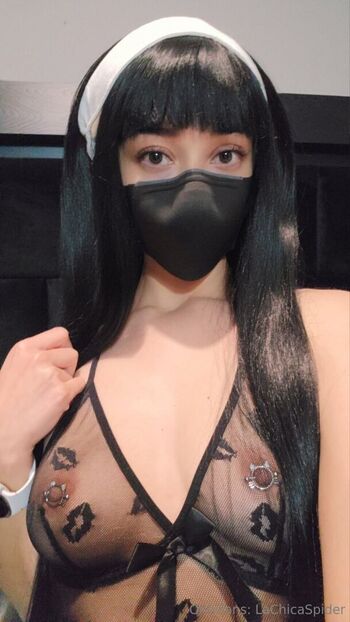 Lachicaspider image