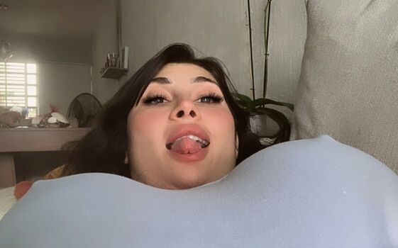 Lakettebarraza image