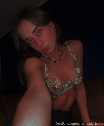 Lanarhoudesjunior image