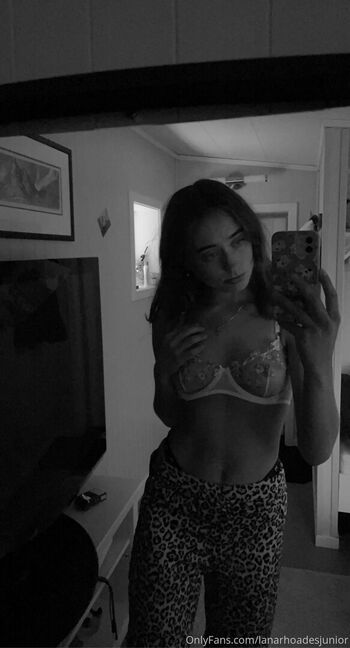 Lanarhoudesjunior image