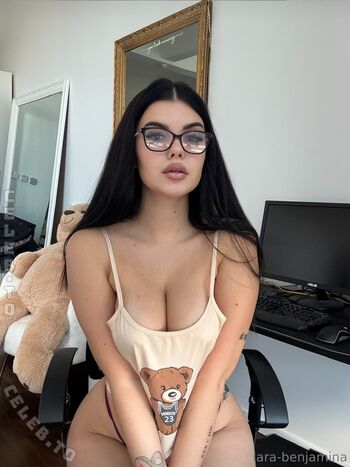Lara winter image
