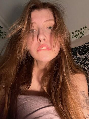 Lauradoce image