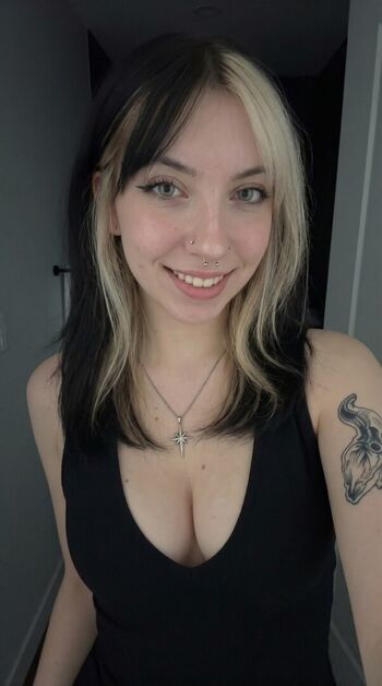 Lauradoce image