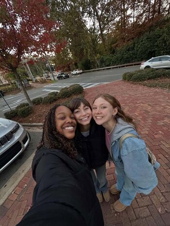 Lauren donzis page 2 image