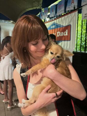 Lauren donzis page 2 image