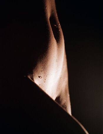Lauren mcgeachin image