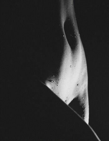 Lauren mcgeachin image