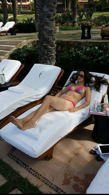 Lauren shehadi image