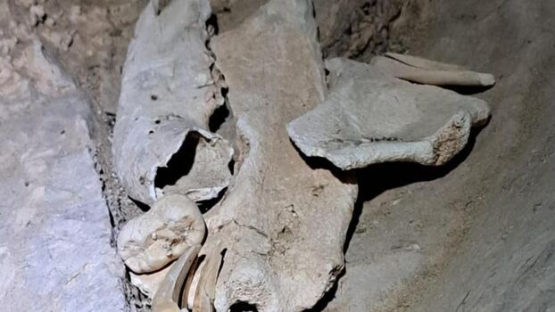 Laurenspenceruk image